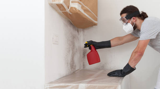 Professional Mold Remediation technician working in Evans, CO
