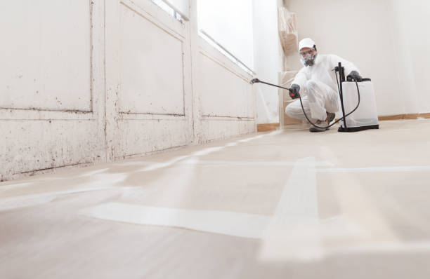 24/7 Emergency Mold Remediation experts in Evans, CO